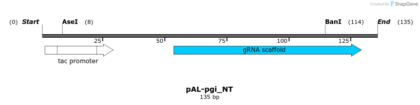 141967_map
