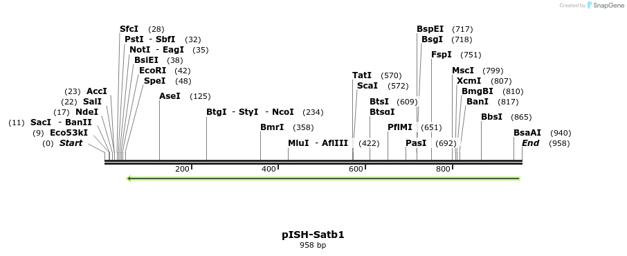 141968_map