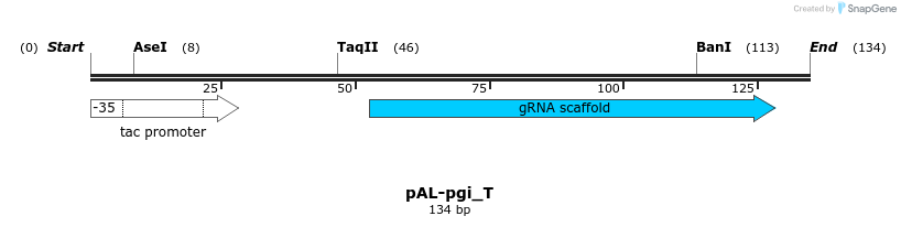 141971_map