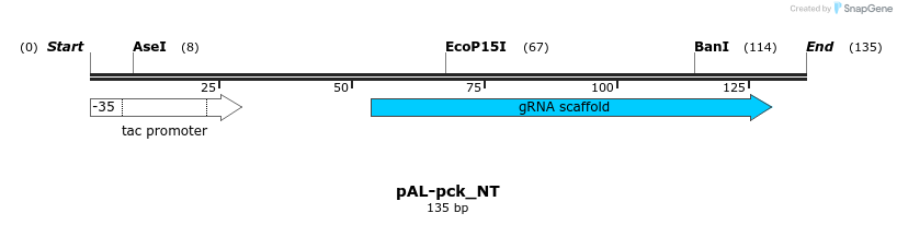 141972_map