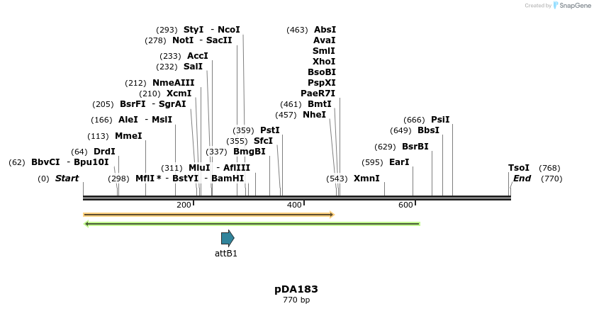141978_map