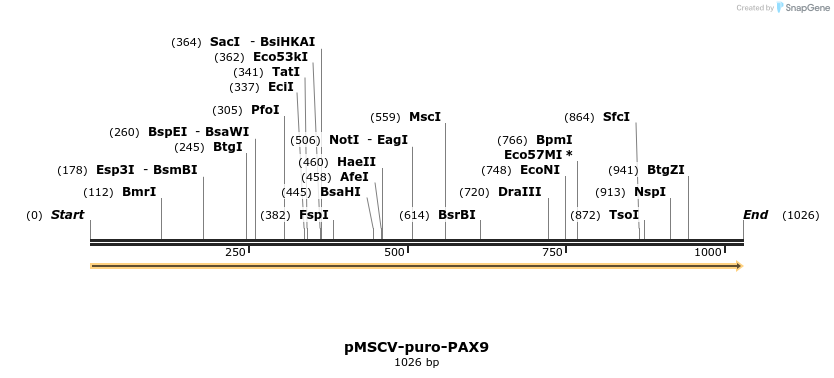 141979_map