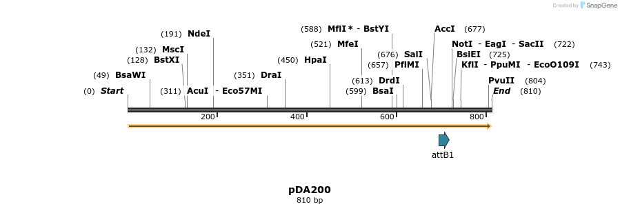 141989_map