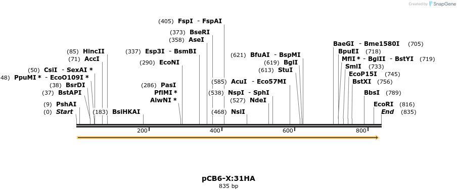 141994_map