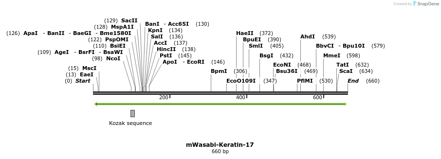 141996_map