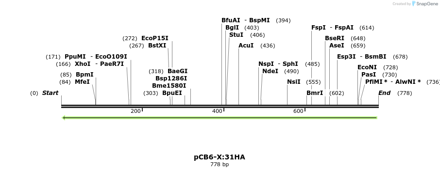 141997_map