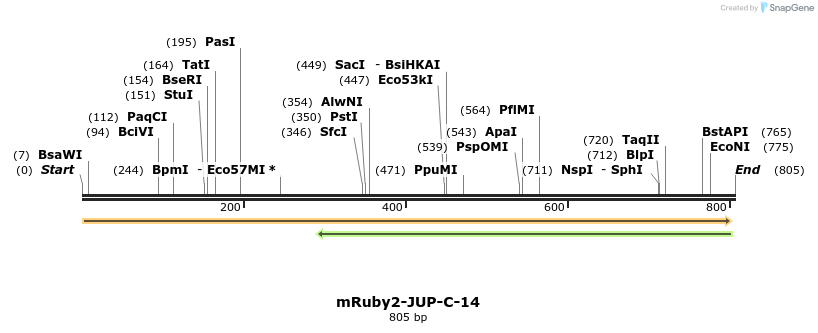 141998_map