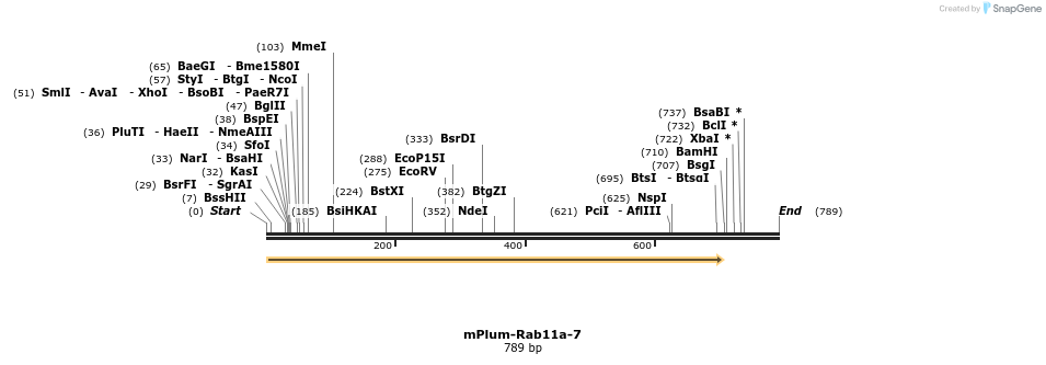 141999_map