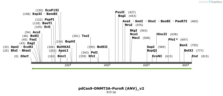142002_map