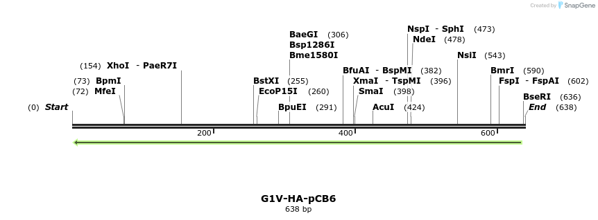 142003_map