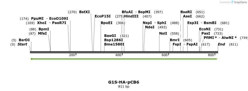 142004_map
