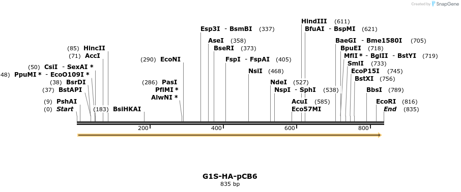 142005_map