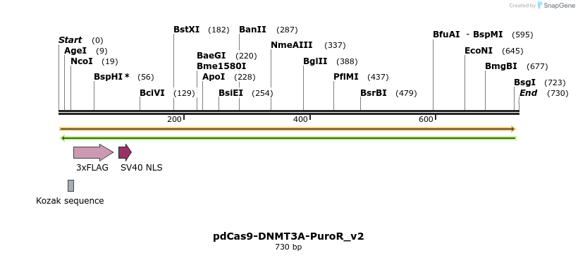142006_map