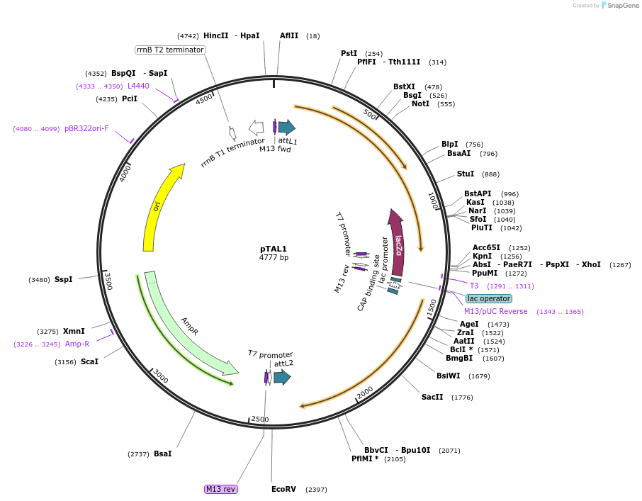 14203_map