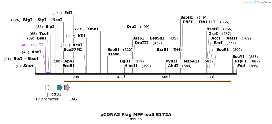 142035_map