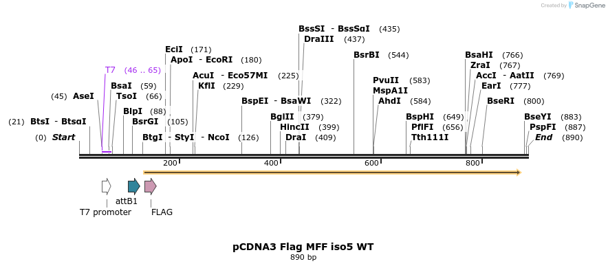 142036_map