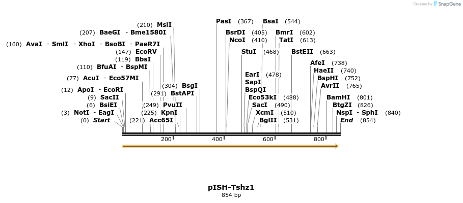 142037_map