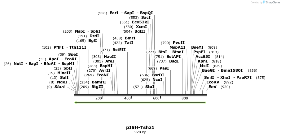 142038_map
