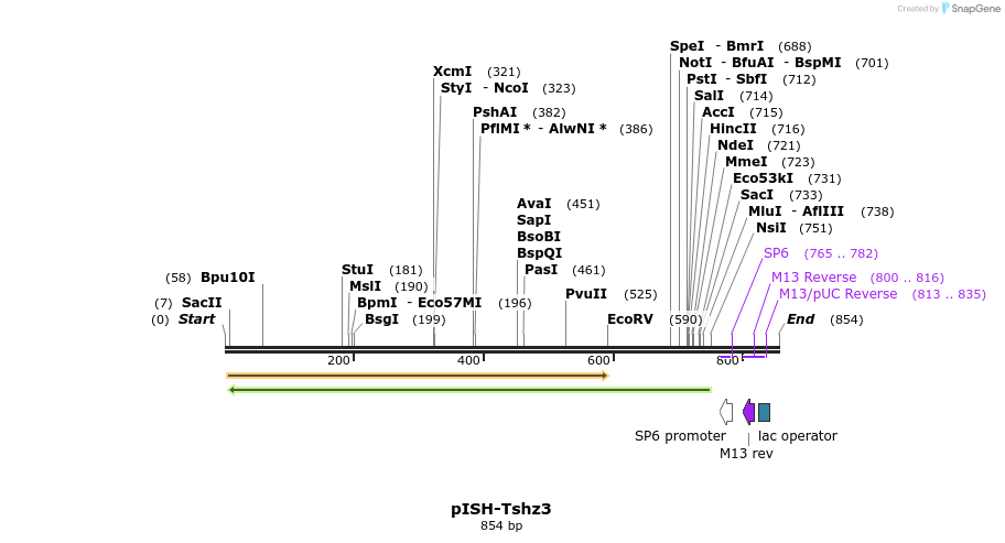 142040_map