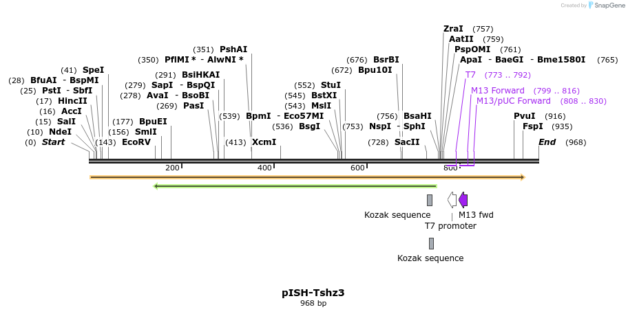 142041_map