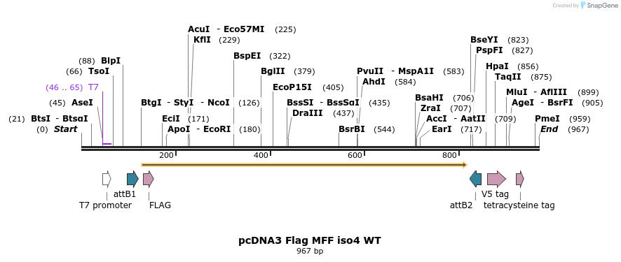 142042_map
