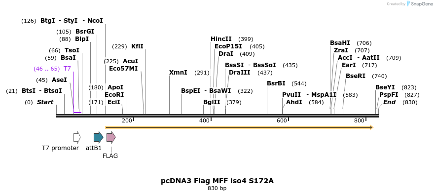 142043_map