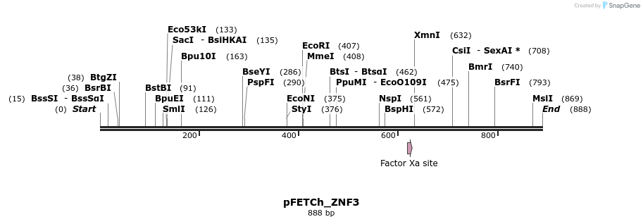 142044_map