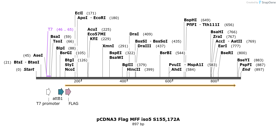 142045_map