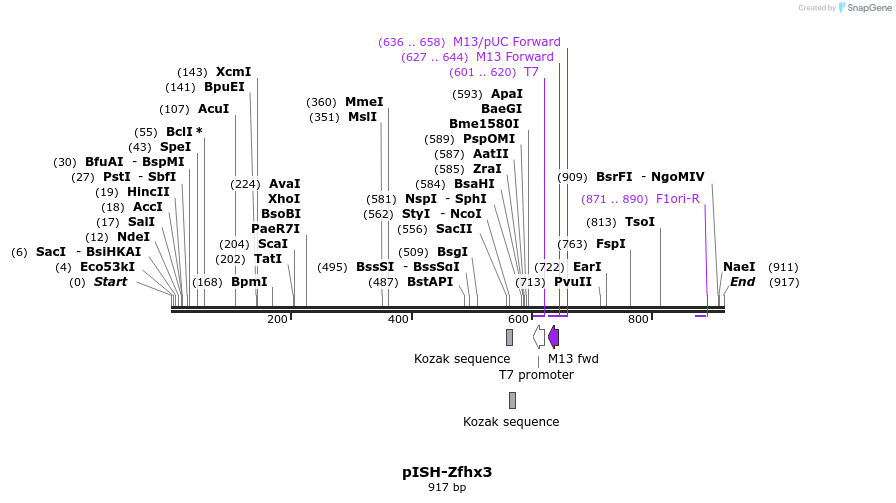 142047_map