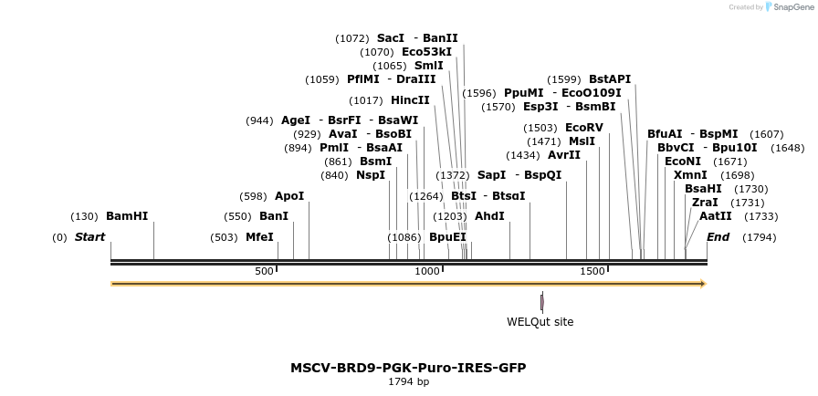 142048_map