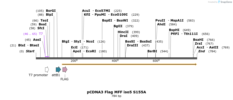 142049_map