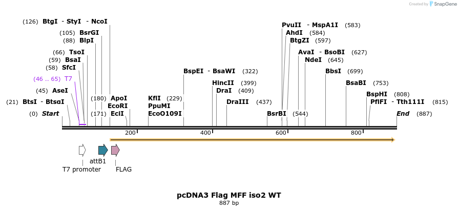 142052_map
