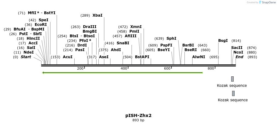 142053_map