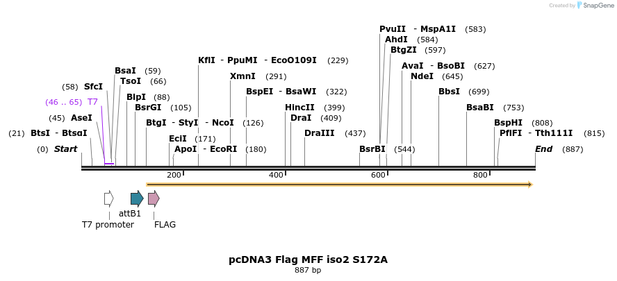 142054_map