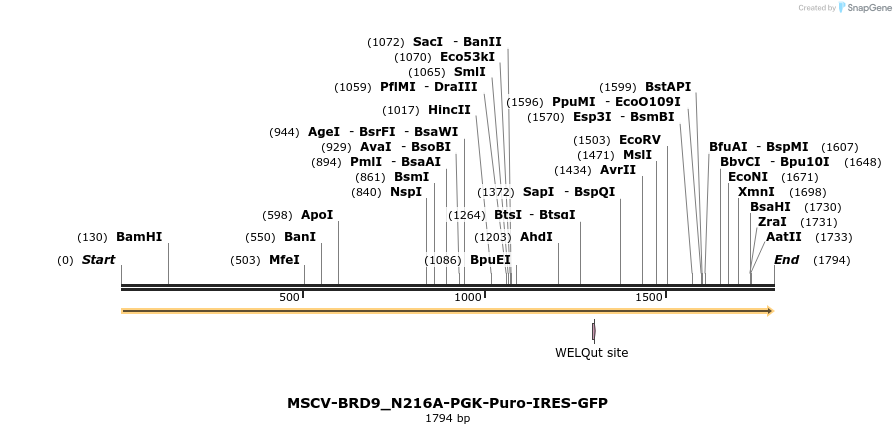 142056_map