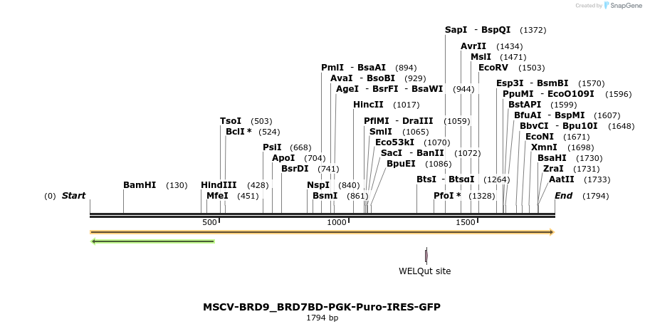 142059_map