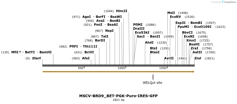 142063_map