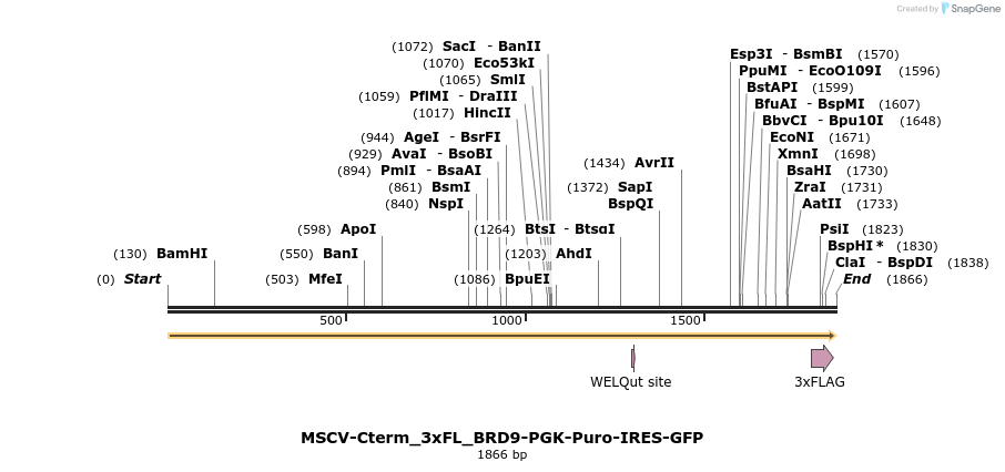 142066_map