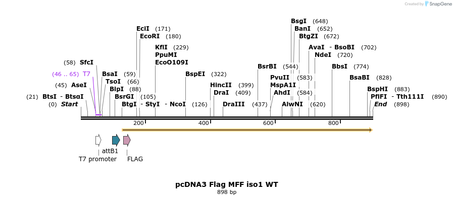 142067_map