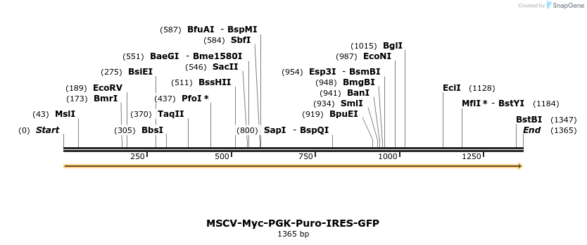 142069_map