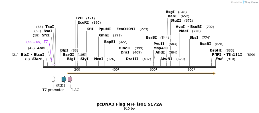 142072_map