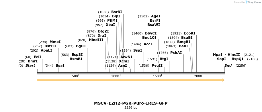 142073_map