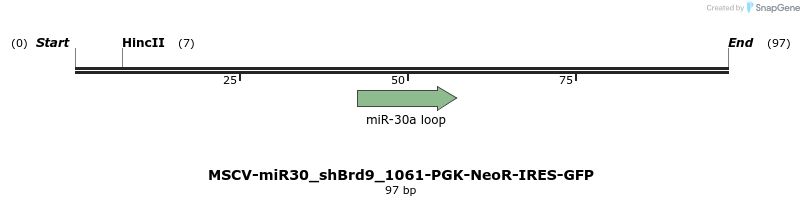 142075_map