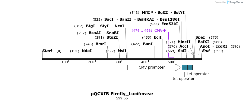 142076_map