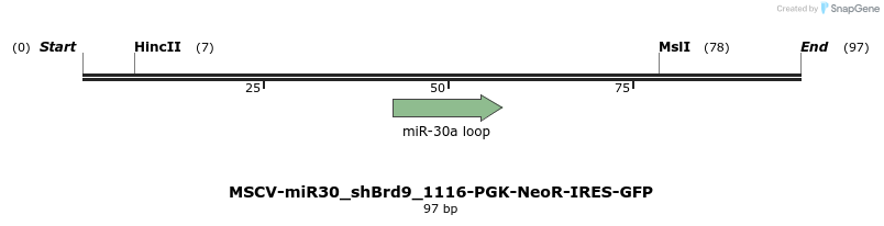 142077_map