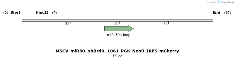142078_map