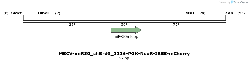 142079_map
