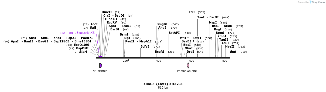 142081_map