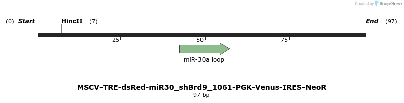 142083_map
