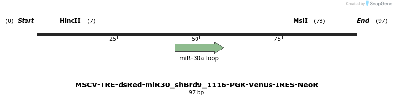 142085_map
